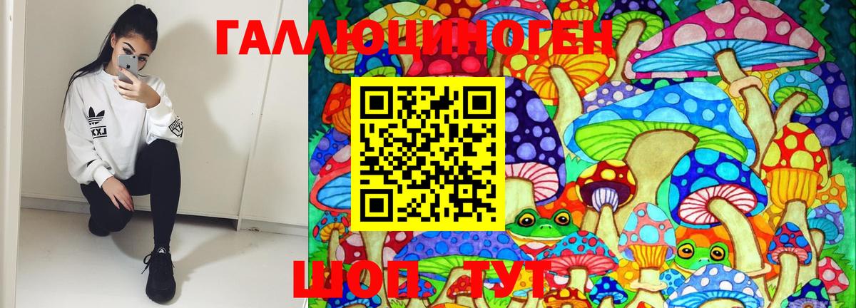 Псилоцибиновые грибы Psilocybine cubensis  Вход с VPN  Псилоцибиновые грибы ЛСД  Алушта 